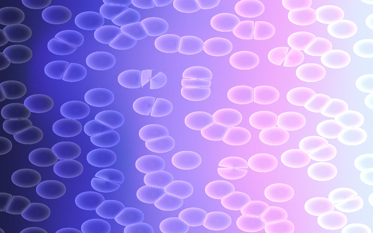 Caviar: Packed beads, frosted so you read through them rather than off them.
